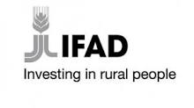 ifad_logo